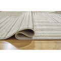  Signature Design by Ashley Darmondard R406941 Large Rug IMAGE 4