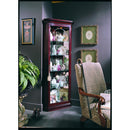 Pulaski Furniture Curios Curios 20205 IMAGE 2