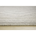  Signature Design by Ashley Wimney R407280 Extra Large Rug IMAGE 3