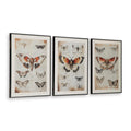  Signature Design by Ashley Jossletts A8000490 Wall Art Set IMAGE 1