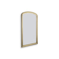  Signature Design by Ashley Fintan A8010436 Floor Mirror IMAGE 1