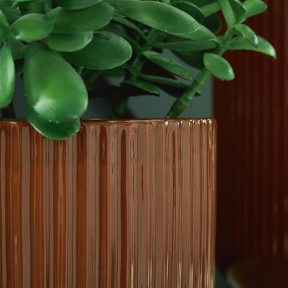Avalyah Vase (2/CS)